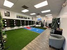 Image for Purchase Green Artificial Grass with ID of: 6610838
