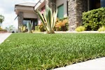 Image for Purchase Green Artificial Grass with ID of: 6610839