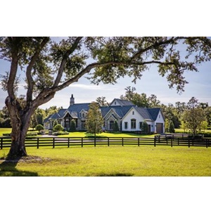 Image for Ocala Horse Properties with ID of: 6879675
