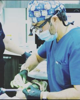 Image for Erin Mills Smiles Dentistry with ID of: 6612379