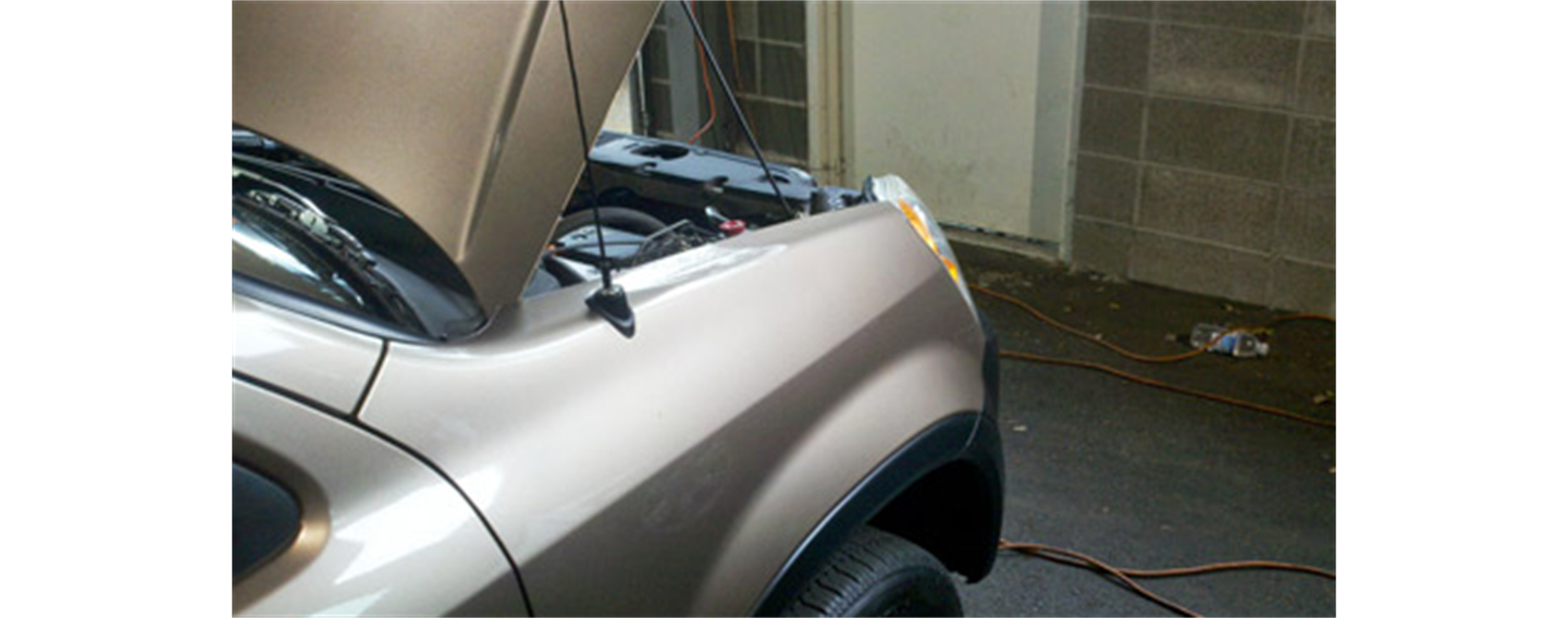 Image for Auto Dentist Inc. with ID of: 6612948