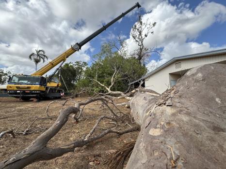 Image for All Season Group - Tree Services with ID of: 6614338
