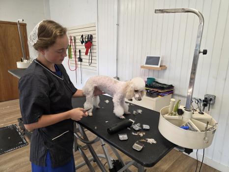 Image for The Pooch Parlor with ID of: 6615410