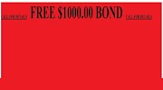 Image for Michael Lloyd Bail Bonds with ID of: 6615855