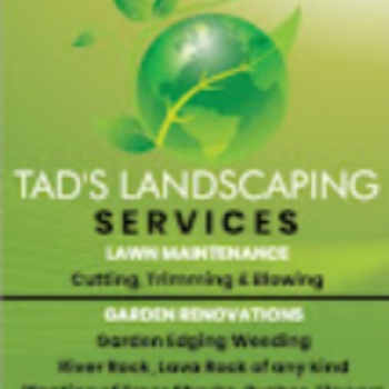 Image for Tad's Landscaping with ID of: 6616184