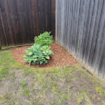 Image for Tad's Landscaping with ID of: 6616188