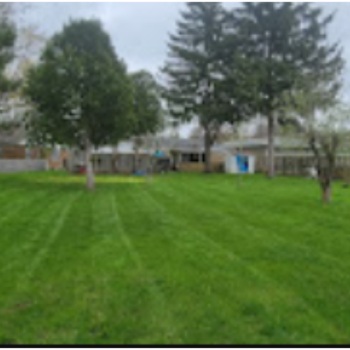 Image for Tad's Landscaping with ID of: 6616191