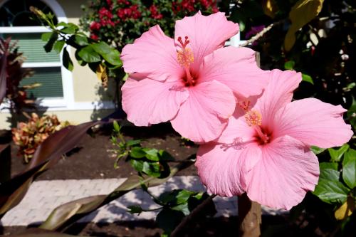 Image for Peer Landscaping with ID of: 6618488