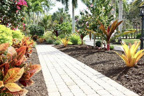 Image for Peer Landscaping with ID of: 6618489