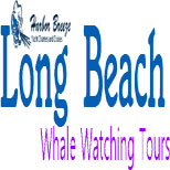 Image for Long beach whale watching with ID of: 688102