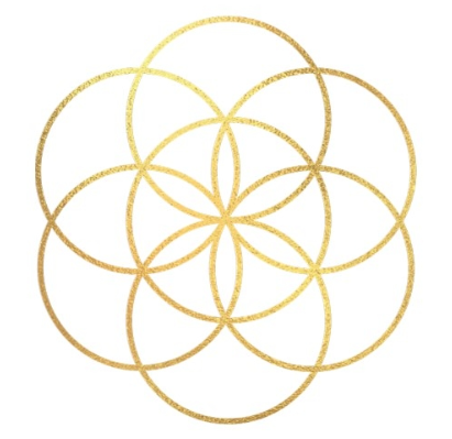 Image for Dynamic Wellness Collaborative with ID of: 6881466
