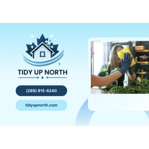Image for Tidy Up North with ID of: 6621179