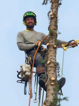 Image for Mike & Matt's Tree Service with ID of: 6621368