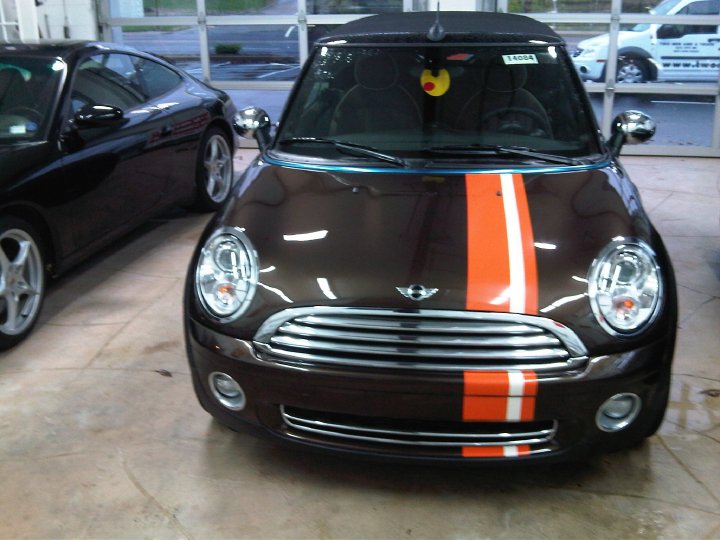 Image for Clear Auto Bra LLC with ID of: 688341