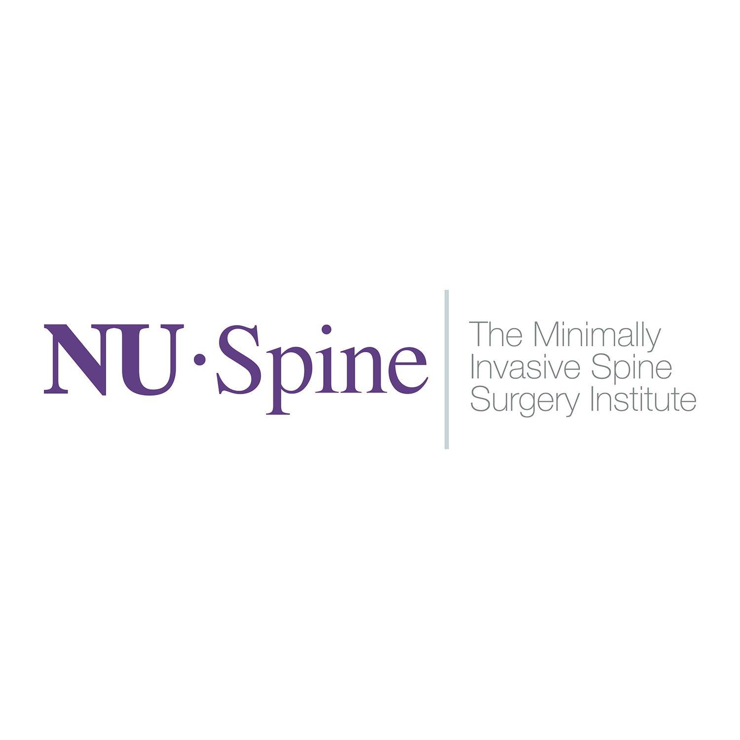 Image for NU-Spine: The Minimally Invasive Spine Surgery Institute with ID of: 6884525