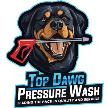 Image for Top Dawg Pressure Wash with ID of: 6884734