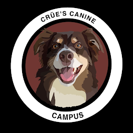 Image for Crüe's Canine Campus with ID of: 6886208