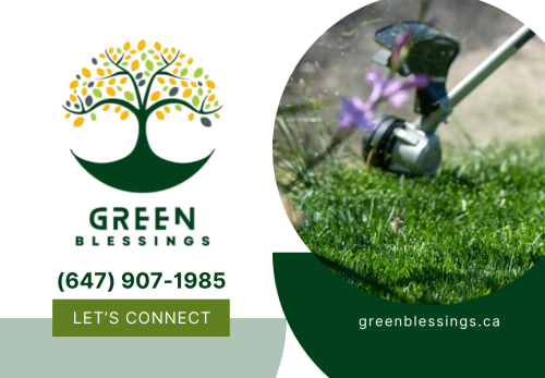 Image for Green blessings with ID of: 6624945