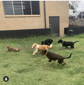 Image for Barkley Park with ID of: 6625373