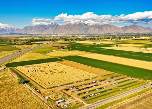Image for Glen Ray's Corn Maze and Pumpkin Patch with ID of: 6625463