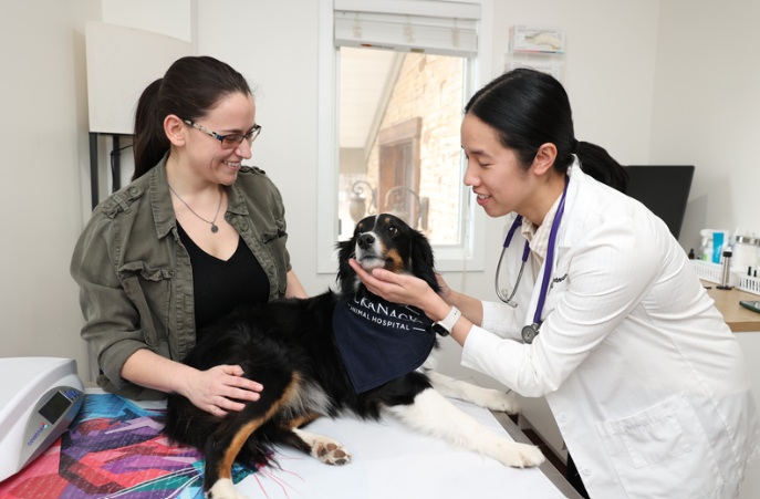 Image for Packanack Animal Hospital with ID of: 6626208