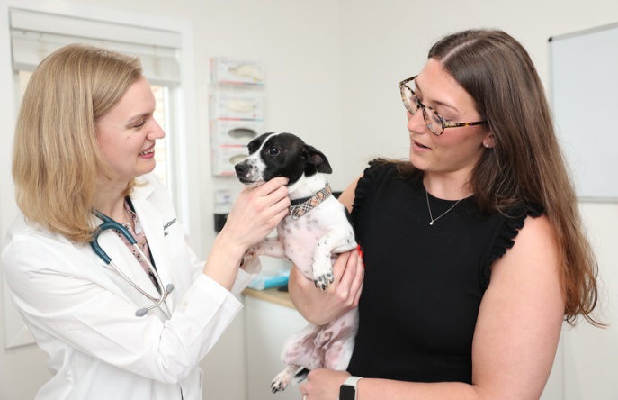 Image for Packanack Animal Hospital with ID of: 6626209
