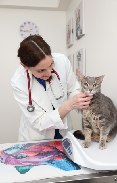 Image for Packanack Animal Hospital with ID of: 6626211