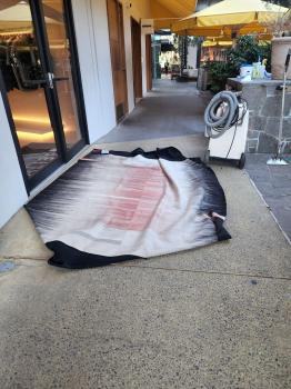 Image for Maxigard Cleaning with ID of: 6626968