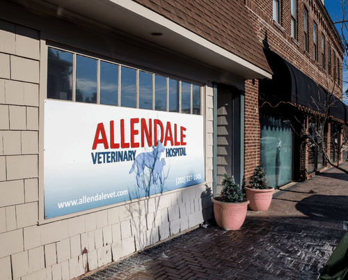 Image for Allendale Veterinary Hospital with ID of: 6628326