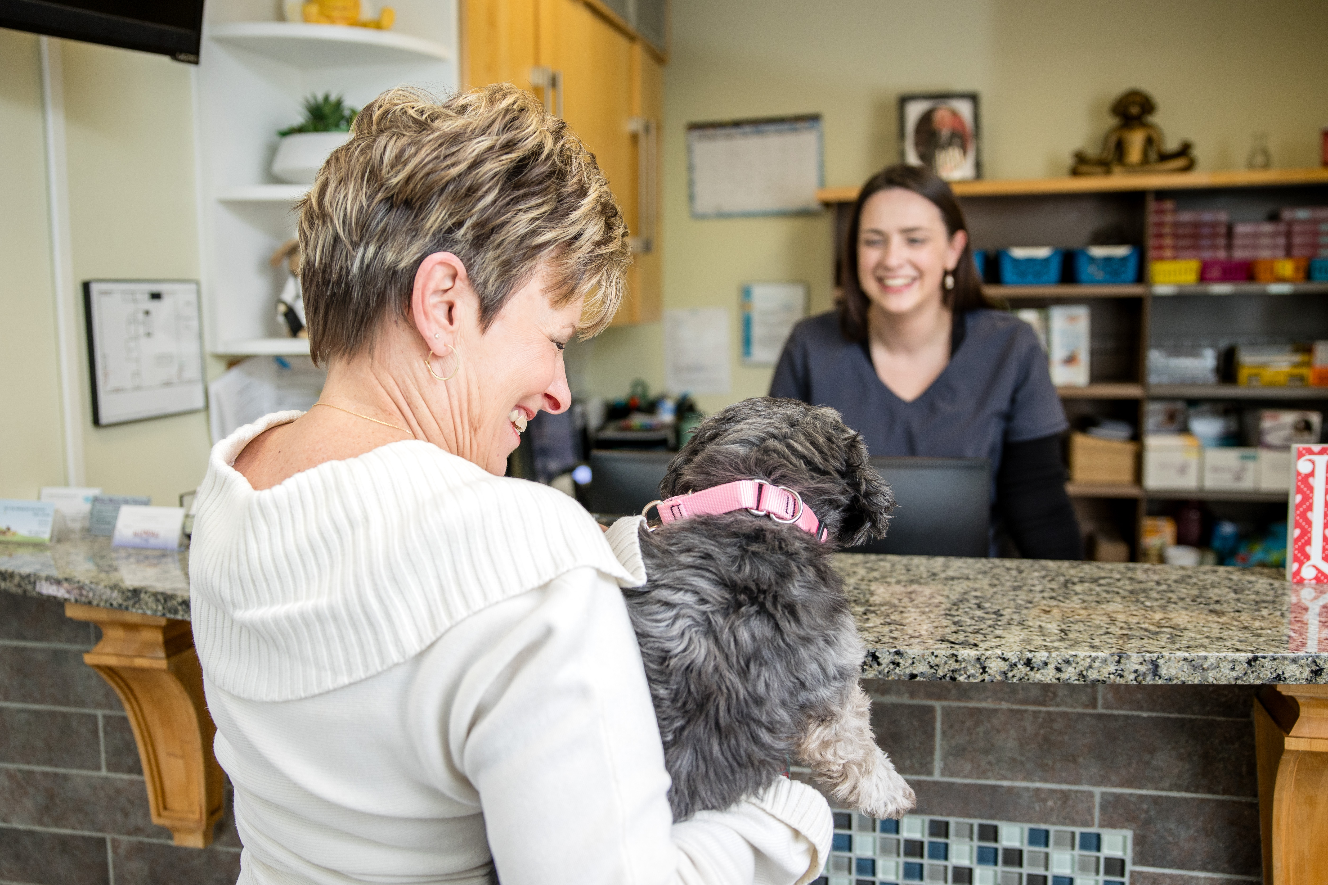 Image for Allendale Veterinary Hospital with ID of: 6628327