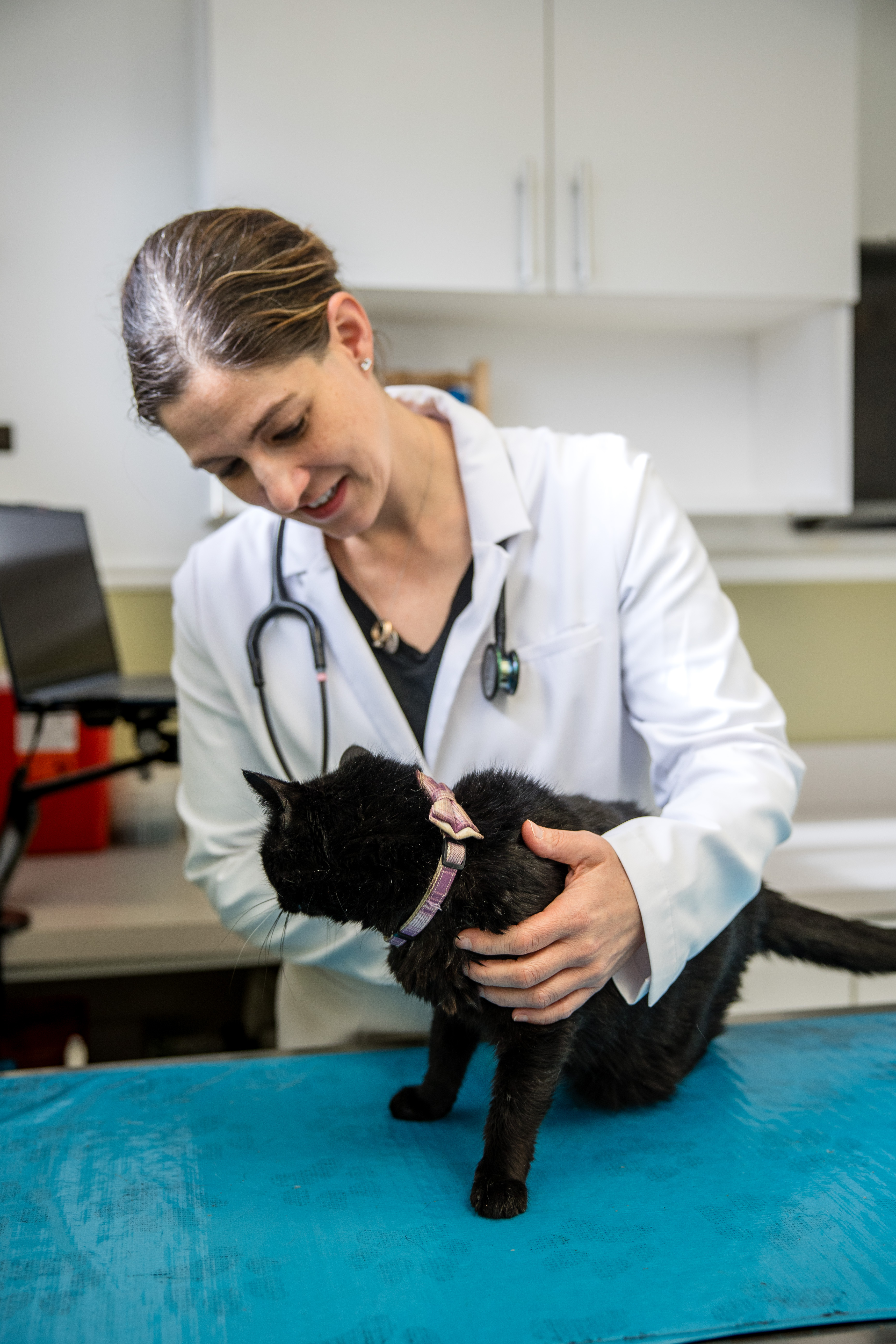 Image for Allendale Veterinary Hospital with ID of: 6628328