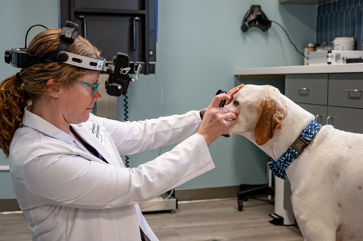 Image for Veterinary Eye Center - Massachusetts with ID of: 6628542