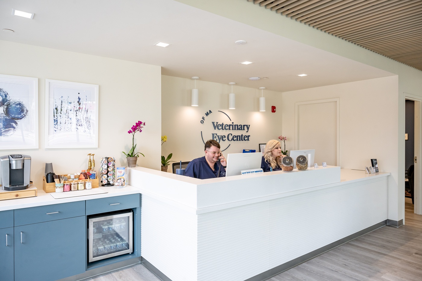 Image for Veterinary Eye Center - Massachusetts with ID of: 6628543