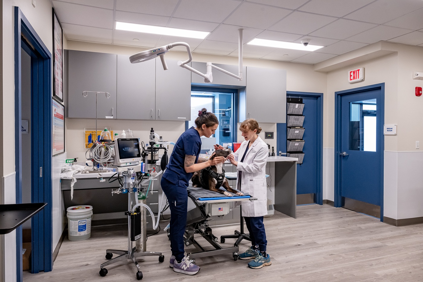 Image for Veterinary Eye Center - Massachusetts with ID of: 6628544