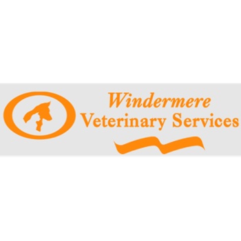 Image for Windermere Veterinary Services with ID of: 6889679
