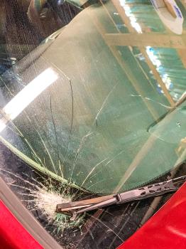 Image for Louis Auto Glass with ID of: 6628897