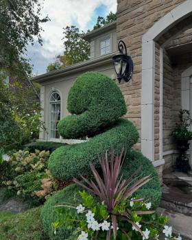Image for Carrs Yard & Property Maintenance with ID of: 6629453