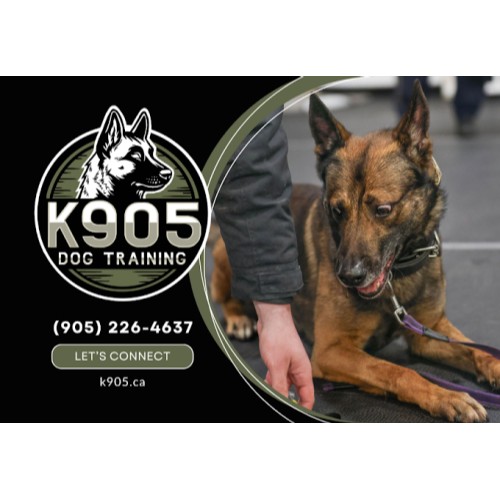 Image for K905 Dog Training with ID of: 6629587