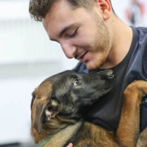 Image for K905 Dog Training with ID of: 6629590