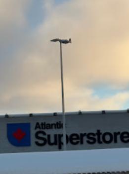 Image for ADG electric with ID of: 6629663