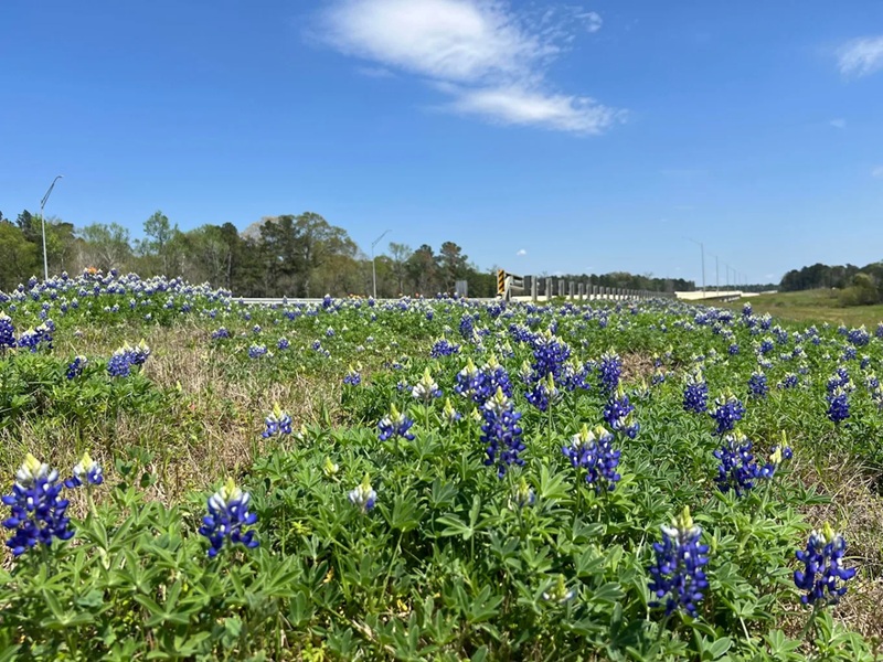 Image for COLTON Community with ID of: 6630398