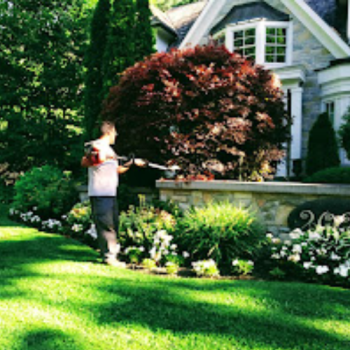 Image for Executive Lawn Service Inc. with ID of: 6630477