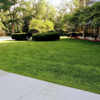 Image for Executive Lawn Service Inc. with ID of: 6630479