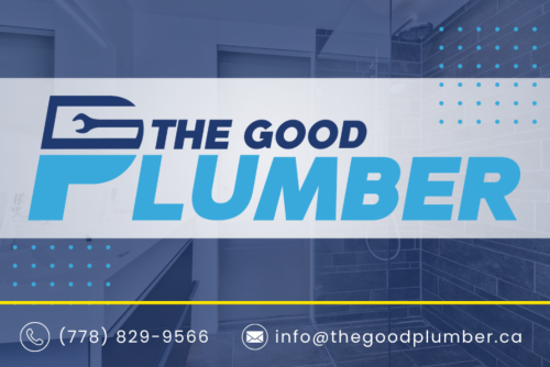 Image for The Good Plumber with ID of: 6631300