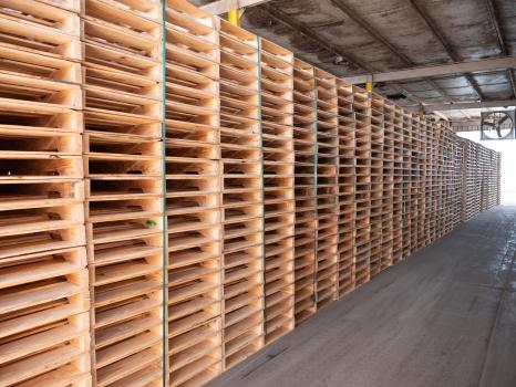 Image for PalletOne Inc. with ID of: 6632626