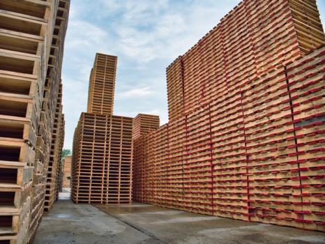 Image for PalletOne Inc. with ID of: 6632677