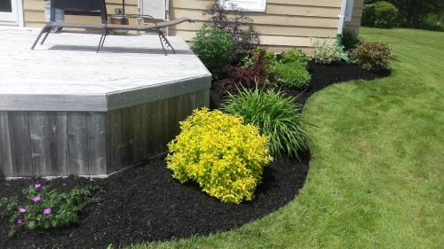 Image for McIsaac LawnCare & Landscaping Ltd. with ID of: 6632686
