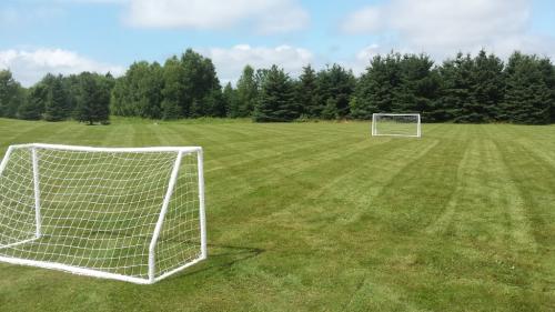Image for McIsaac LawnCare & Landscaping Ltd. with ID of: 6632687
