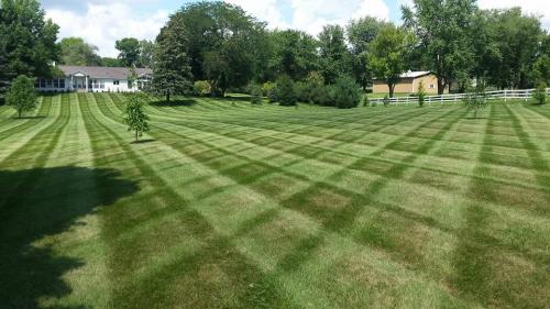 Image for Lee's Lawn & Landscaping with ID of: 6632893