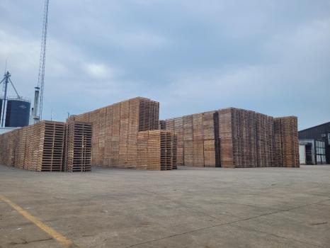 Image for PalletOne Inc. with ID of: 6633494